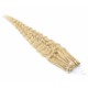 50cm 0,7g/pramen